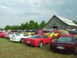 Lots and lots of Corvettes!