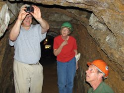 Photographing a rare bat.