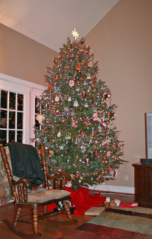 The big tree.  Gloria loved fresh live Christmas trees. Our annual ritual.