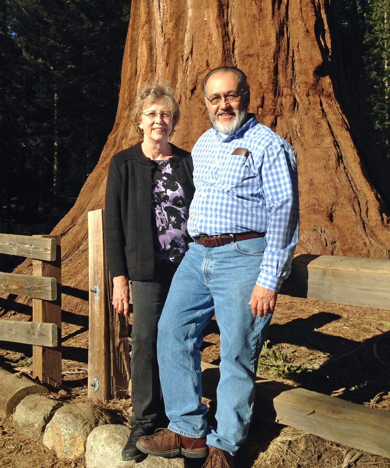 We drove to California to a couple of national parks.  This one was warm enough to grow huge trees.