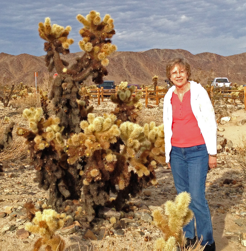 We drove to California to a couple of national parks.  I think this was Joshua Tree National Park.