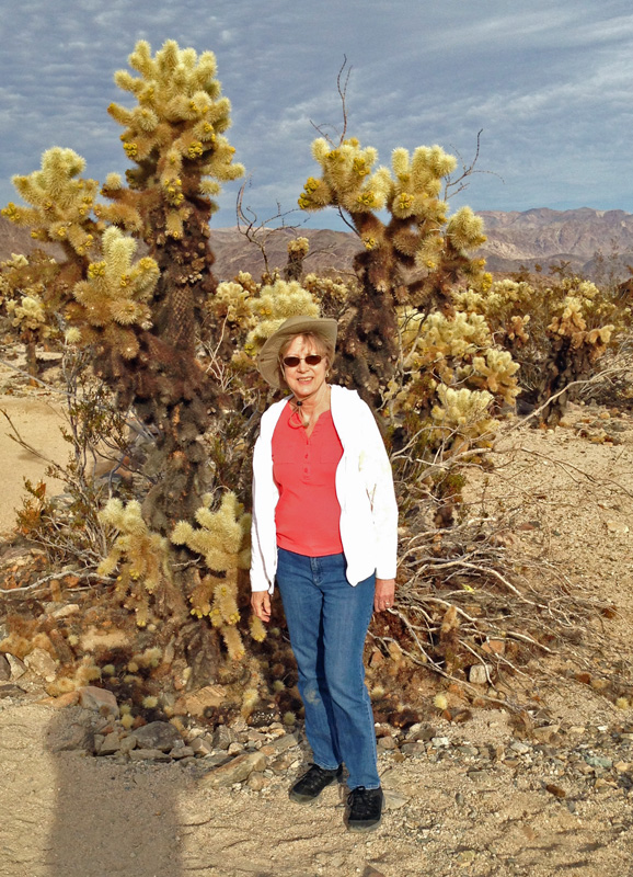 We drove to California to a couple of national parks.  I think this was Joshua Tree National Park.