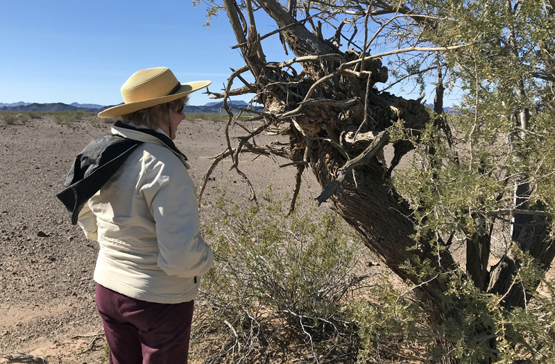 Desert tour with Lex.