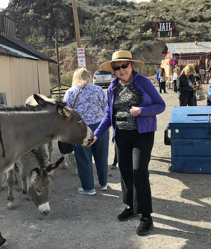 Feeding the burros in Oatman.